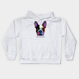 Cute colorful French bulldog Kids Hoodie